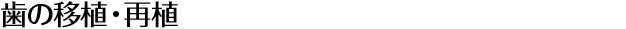 歯の移植・再植